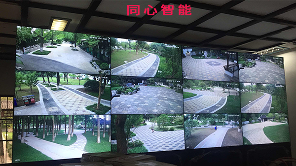 草莓视频IOS在线观看助力活動