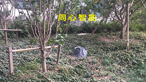 草莓视频IOS在线观看助力活動