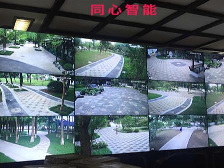 草莓视频IOS在线观看助力某園活動順利結束