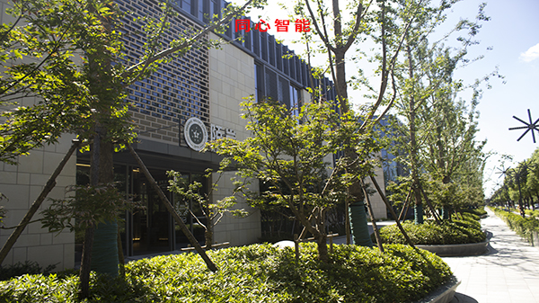 草莓视频IOS在线观看虹祺路商業街建設智能化