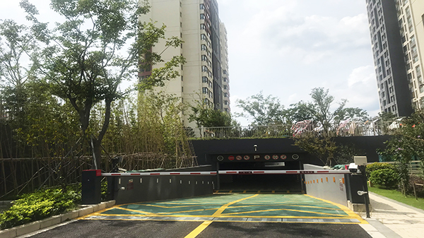 草莓视频苹果下载會議會審1