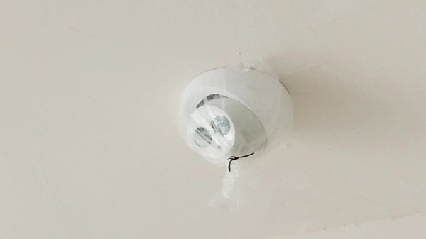 草莓视频IOS在线观看農貿市場