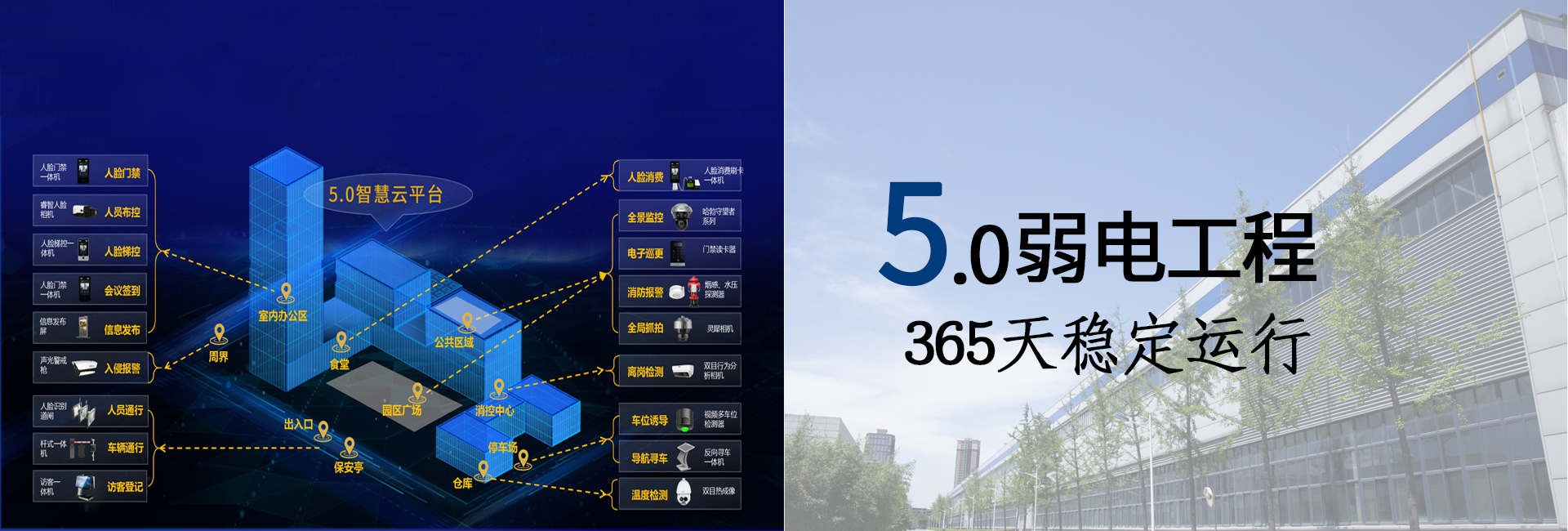草莓视频苹果下载