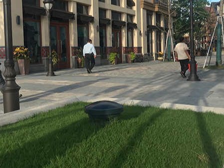 草莓视频IOS在线观看大漁灣項目相關事宜