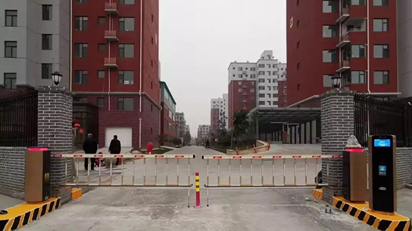 草莓视频苹果下载商