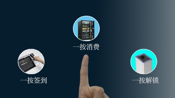 草莓视频IOS在线观看人工識別